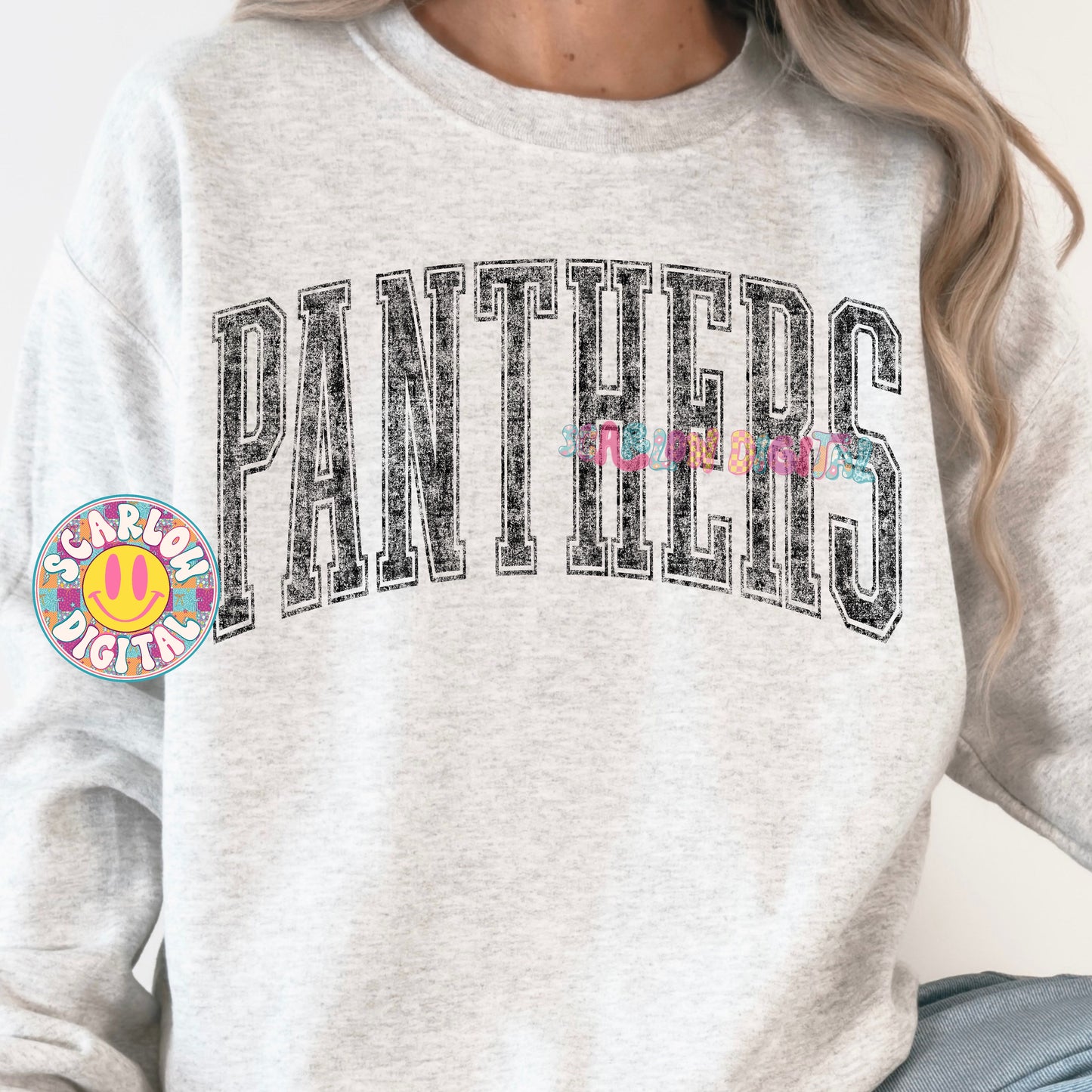 Vintage Panthers PNG Digital Design