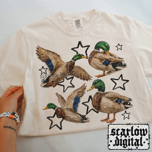 Painted Ducks PNG Digital Design