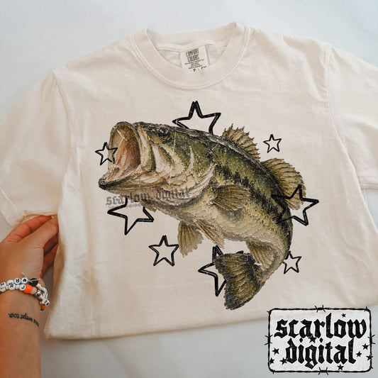 Painted Bass PNG Digital Design