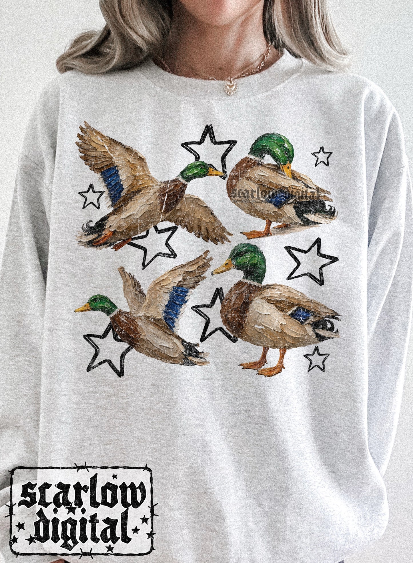 Painted Ducks PNG Digital Design