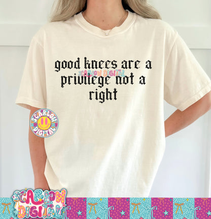 Good Knees Are a Privilege PNG Digital Design