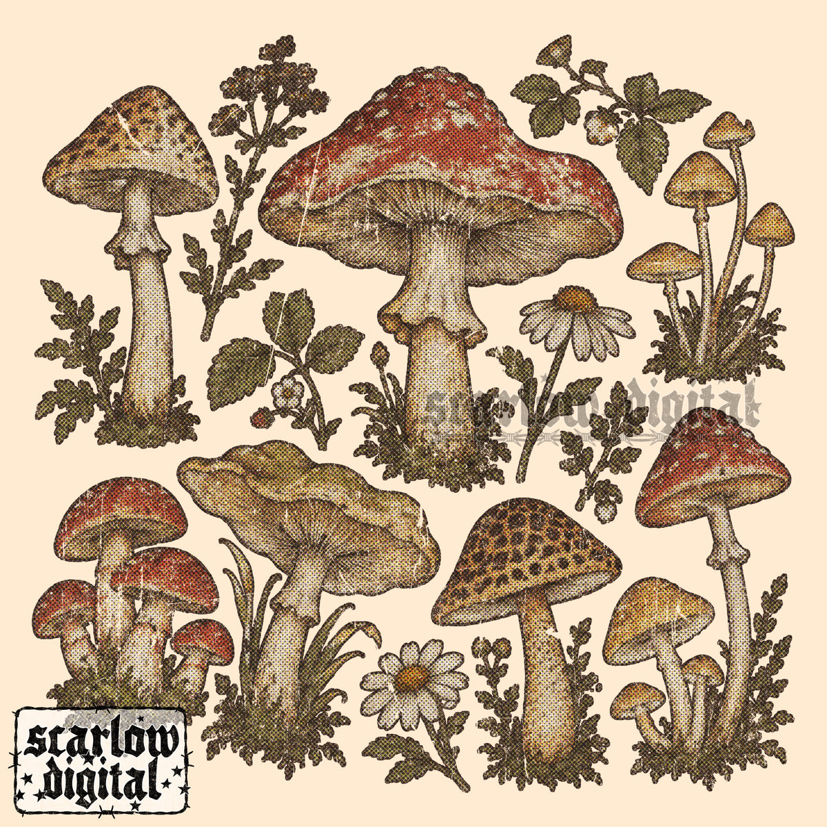 Antique-Style Mushrooms PNG Digital Design