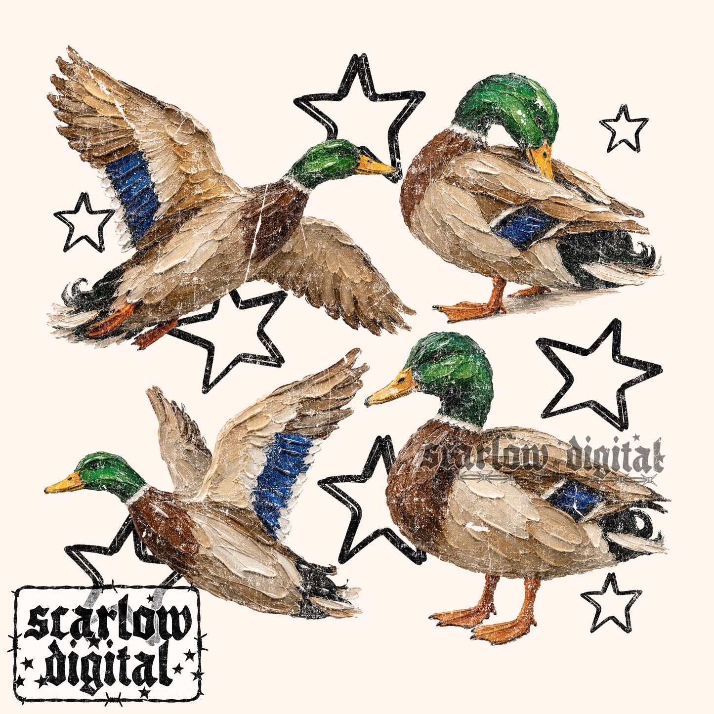 Painted Ducks PNG Digital Design
