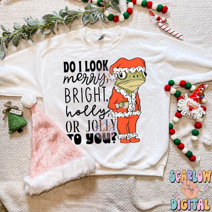 Do I look Merry to you PNG Digital Design Download, frog png, santa claus png, snarky christmas designs, christmas png, happy holidays png