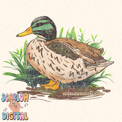 Mallard PNG Digital Design