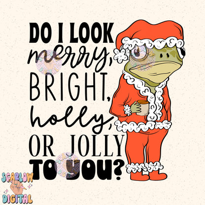 Do I look Merry to you PNG Digital Design Download, frog png, santa claus png, snarky christmas designs, christmas png, happy holidays png