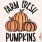 Farm Fresh Pumpkins PNG-Fall Sublimation Digital Design Download-pumpkins png, fall png design, autumn sublimation png, autumn png designs